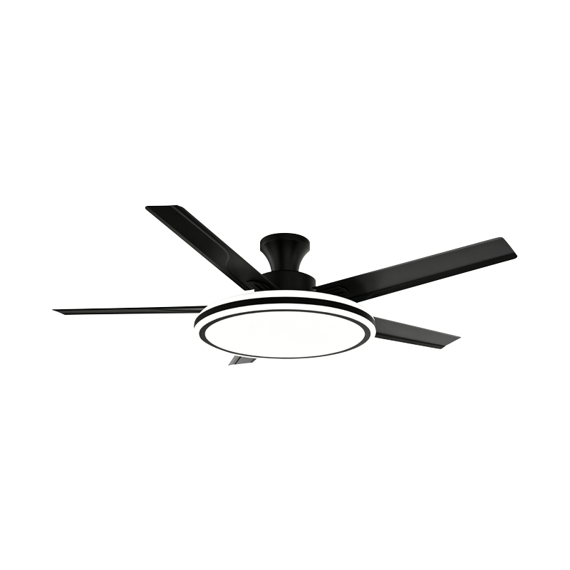 Lampe de ventilateur conventionnelle