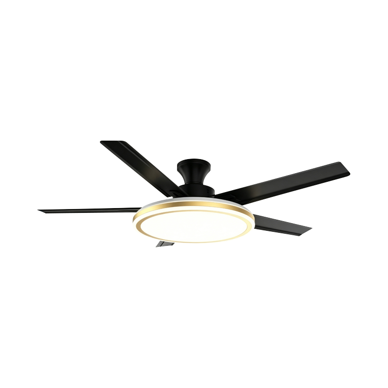 Lampe de ventilateur conventionnelle