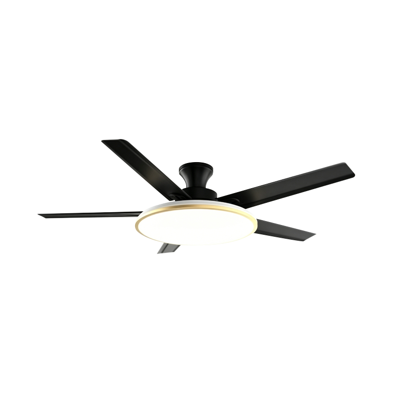 Lampe de ventilateur conventionnelle