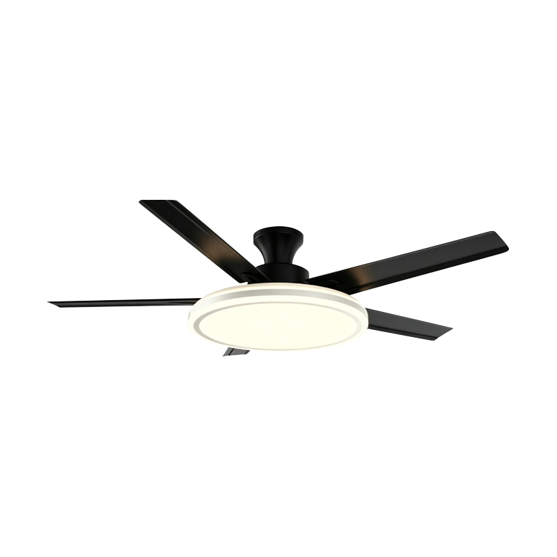 Lampe de ventilateur conventionnelle