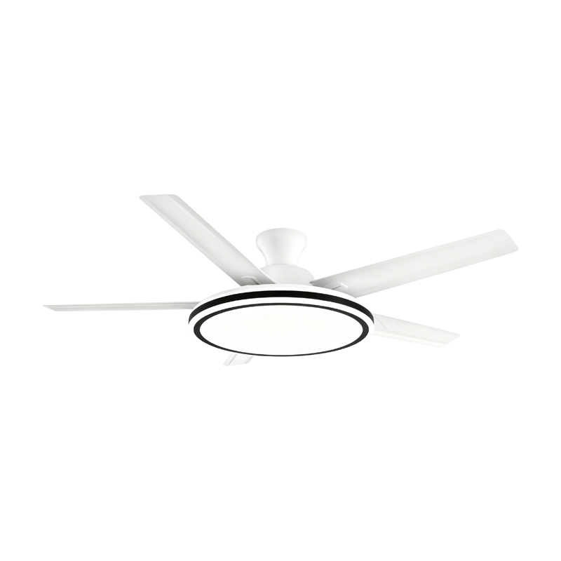 Lampe de ventilateur conventionnelle