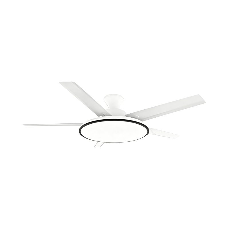Lampe de ventilateur conventionnelle