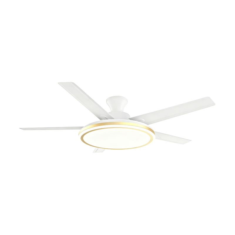 Lampe de ventilateur conventionnelle