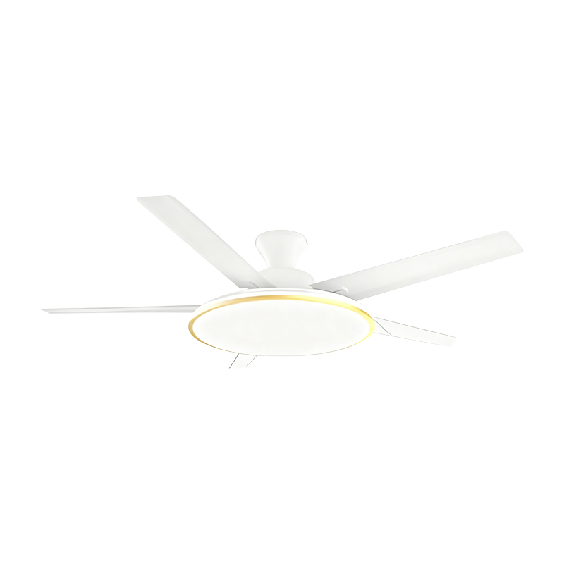 Lampe de ventilateur conventionnelle