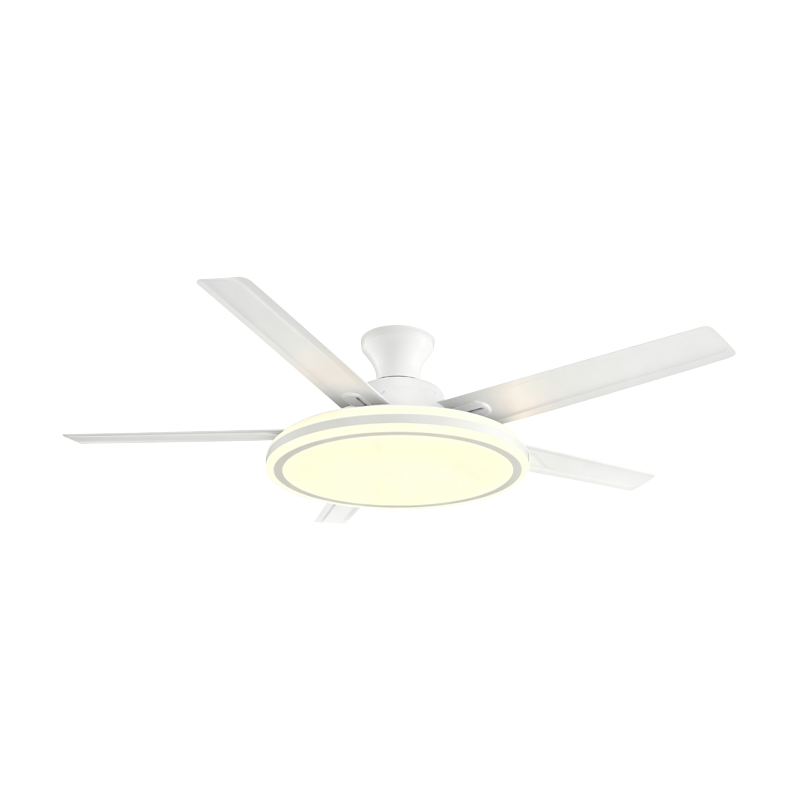 Lampe de ventilateur conventionnelle