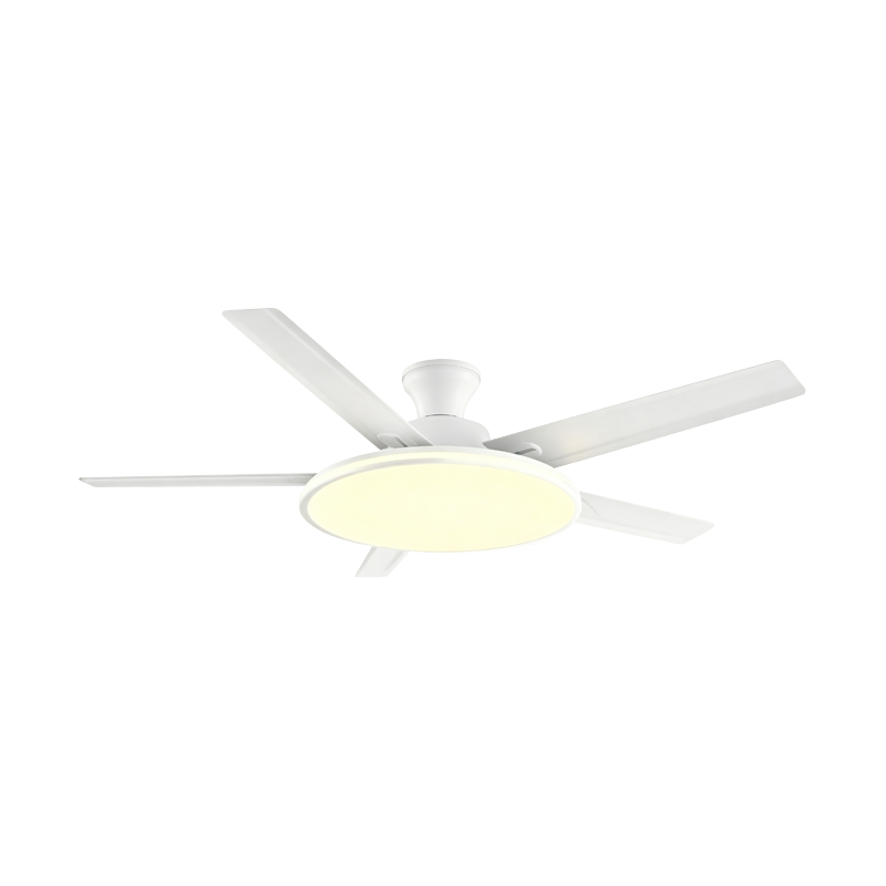 Lampe de ventilateur conventionnelle
